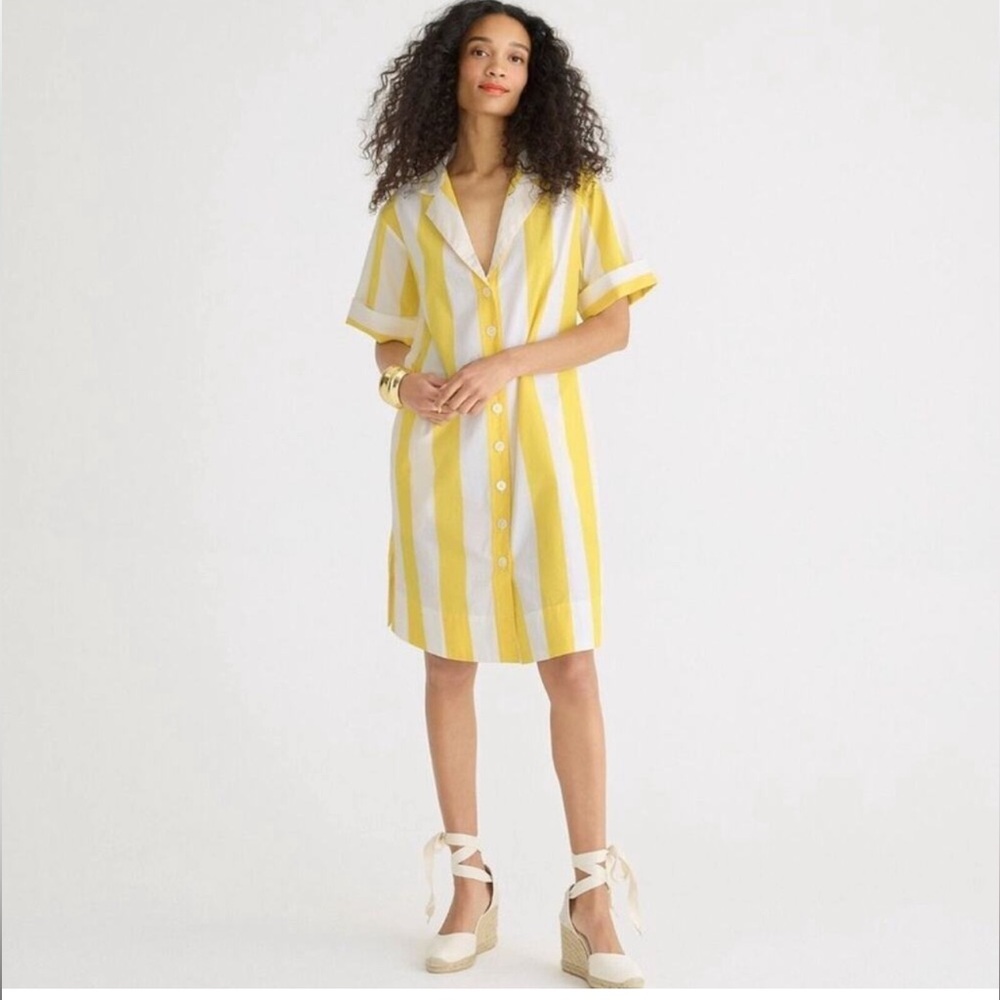 J.Crew Allegra striped shirt dress
